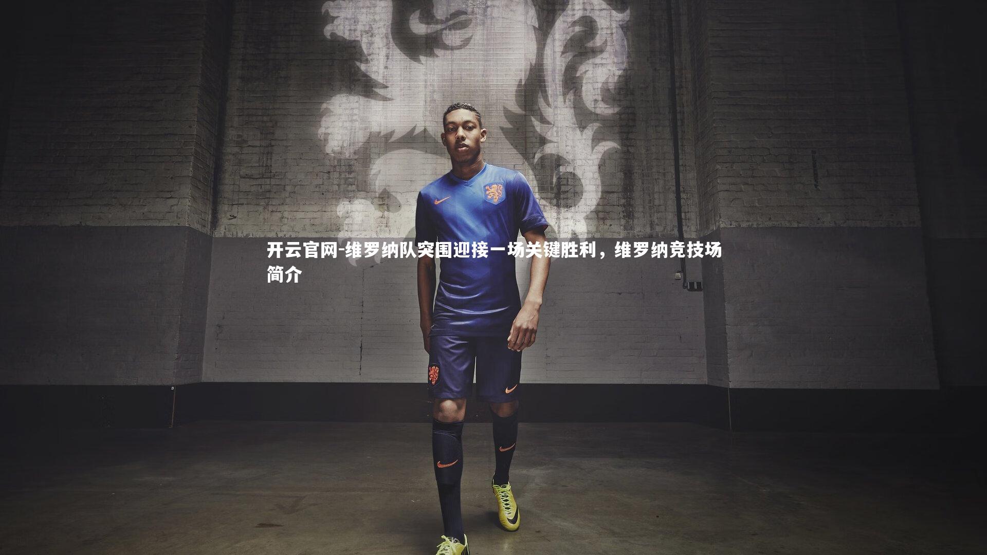 开云官网-维罗纳队突围迎接一场关键胜利，维罗纳竞技场简介