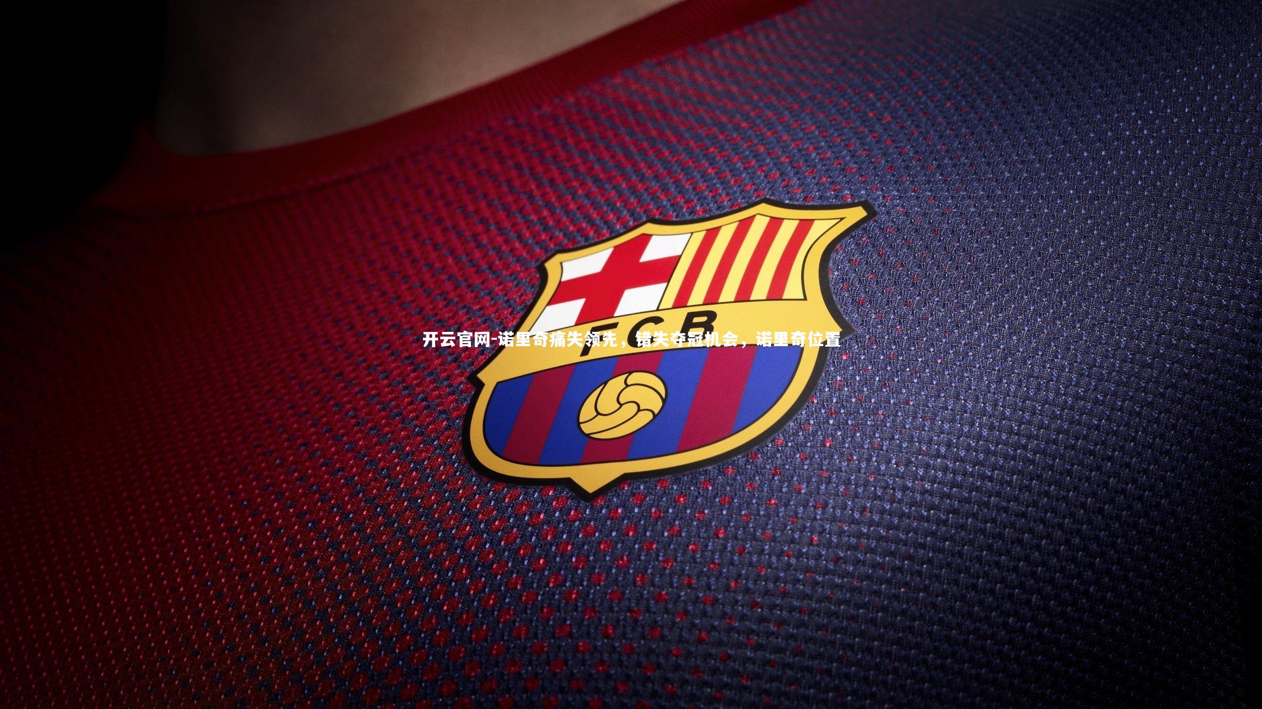 开云官网-诺里奇痛失领先，错失夺冠机会，诺里奇位置